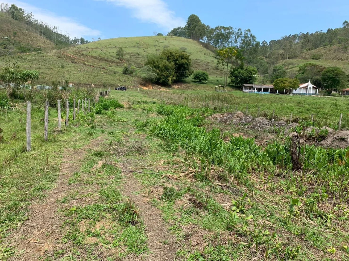Imagem Chácara à venda Zona Rural, Lagoinha - SP