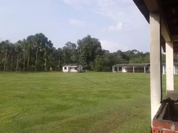 Imagem Lindo e confortável sítio na estrada de Itacoatiara , no km 58 , com casa , piscina e plantações