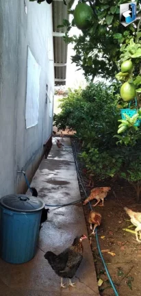 Imagem Casa a venda em Quadra/SP