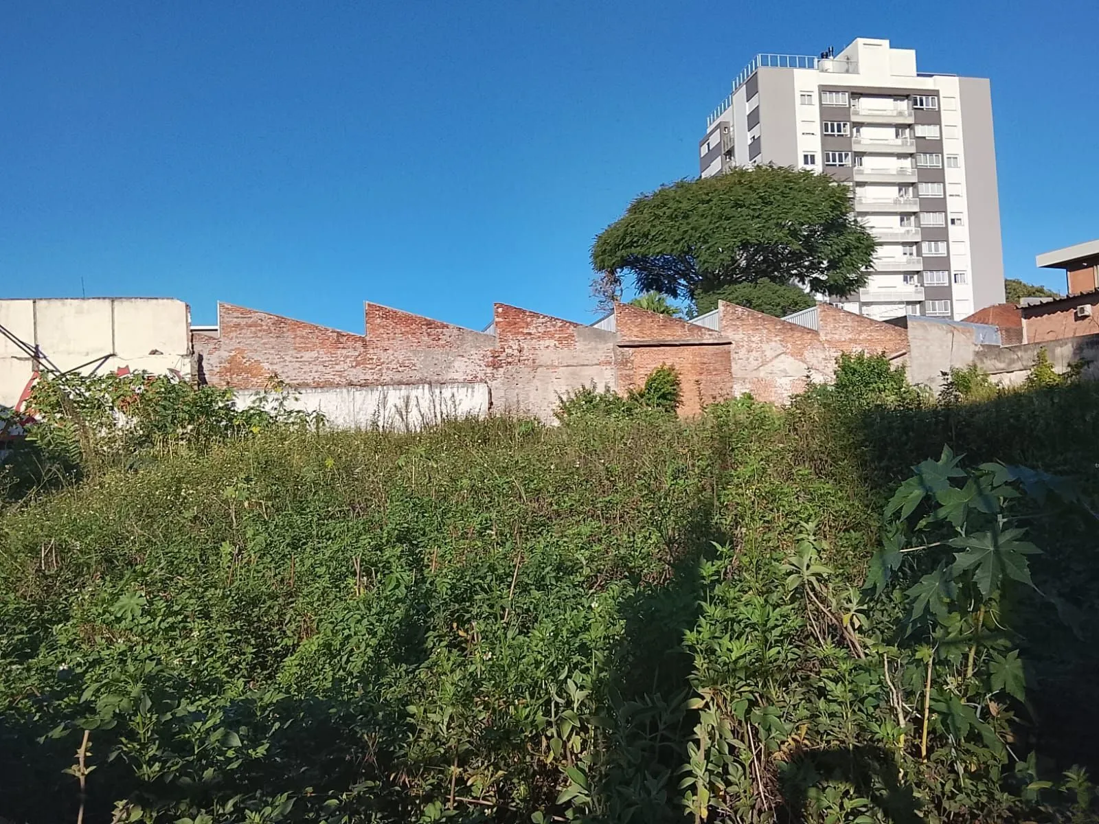 Imagem 4 Terrenos residencial ou comercial, com tapume na frente, desinpedido sem muros intermediários total de 1.126,81 m²