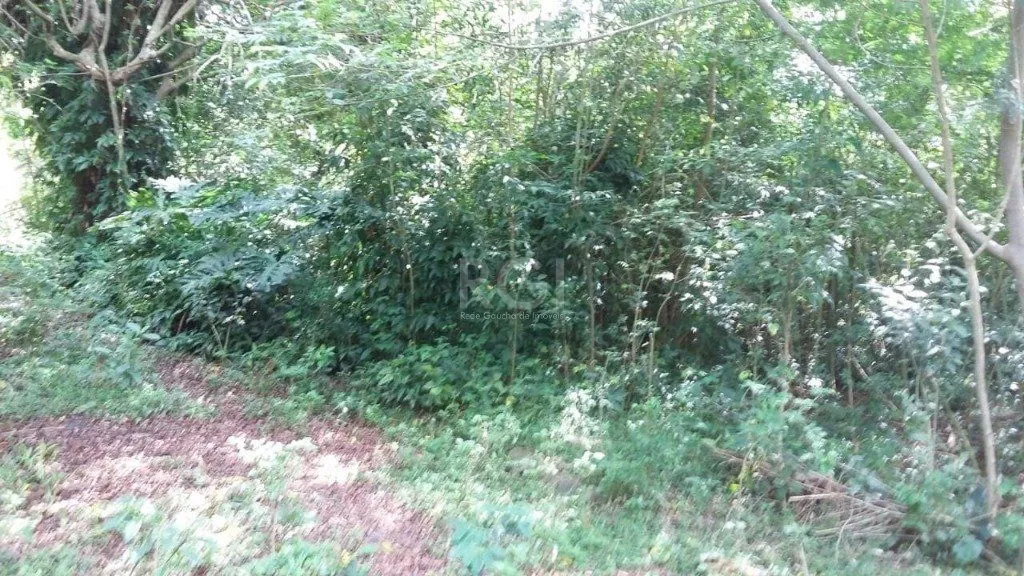Imagem Area para Venda - 0m², 0 dormitórios, Ponta Grossa