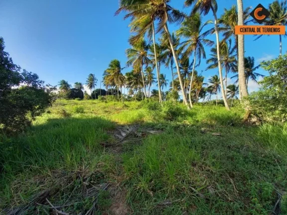 Imagem TERRENO EM BARRA DO JACUIPE ? CAMAÇARI
