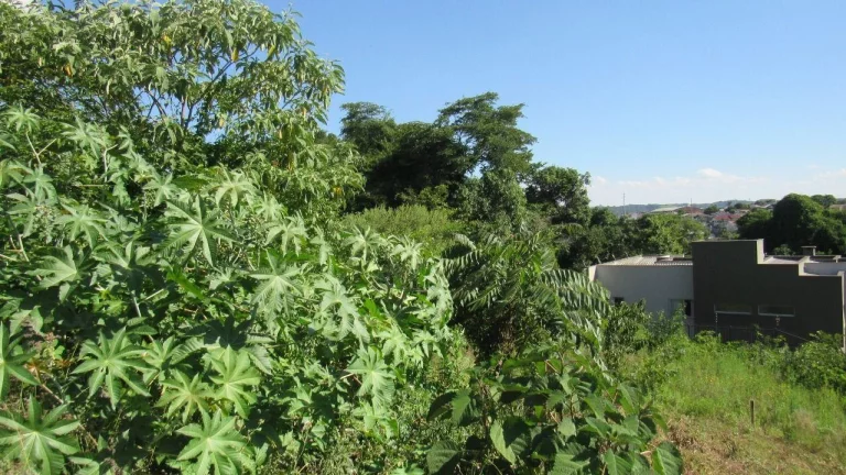 Imagem Terreno para Venda em Concórdia, Jardim