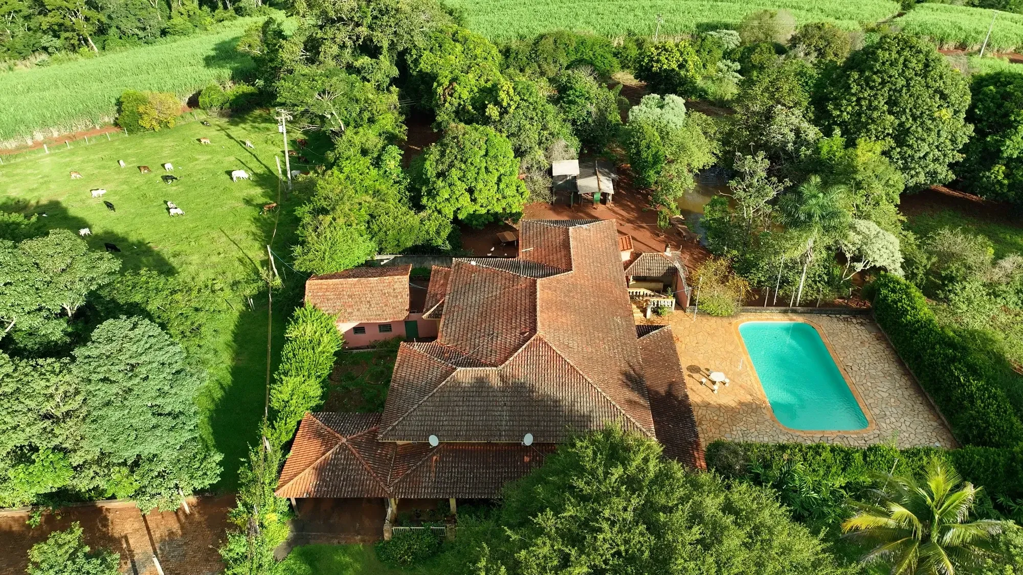 Imagem Fazenda à Venda, 232 HA em Zona Rural - Franca