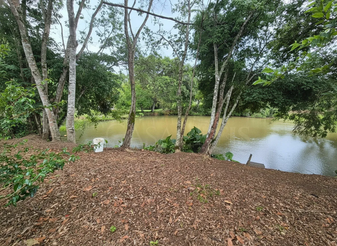 Imagem Chácara 24 m² à venda em Capituvas, Bandeira do Sul