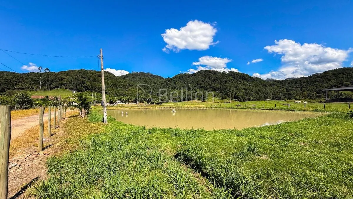 Imagem Terreno com 2.750 m² e imóveis com renda na Estrada do Pomerano - Rio dos Cedros
