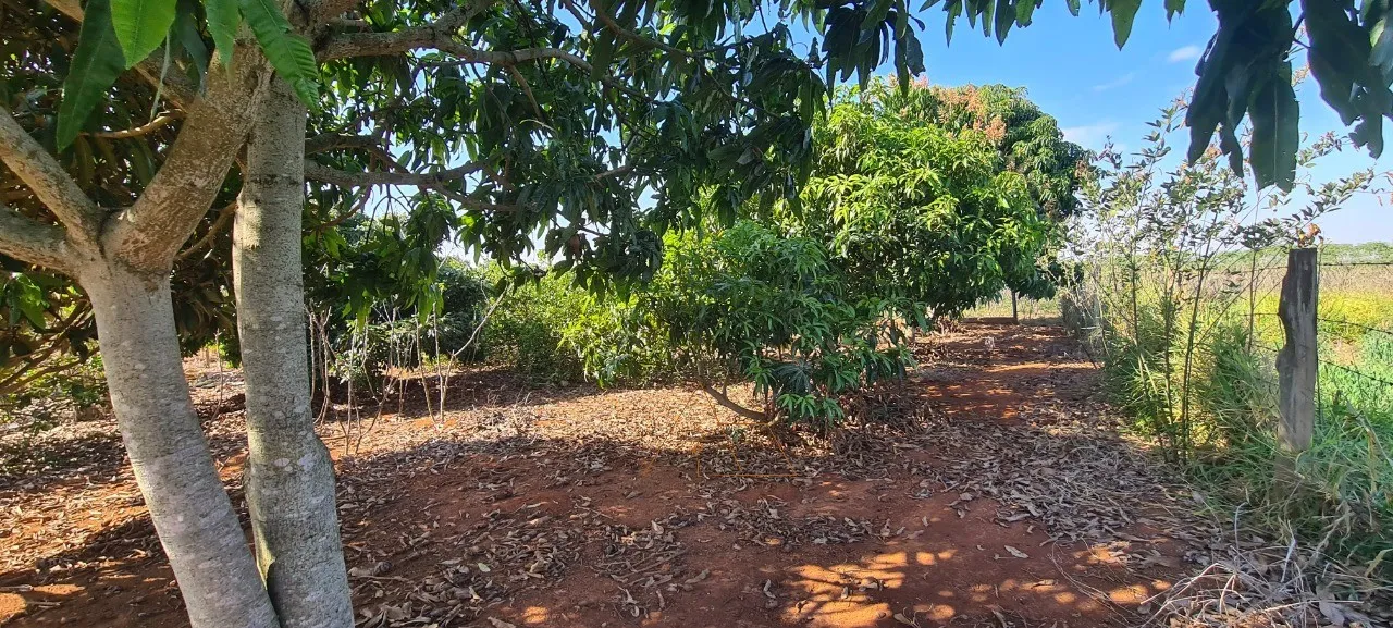 Imagem Chácara à venda em Cesário Lange-SP, bairro Campininha: 2 quartos, 1 sala, 1 banheiro, 1 vaga, 150m². Aproveite!