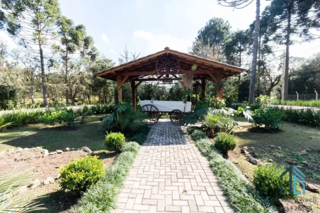 Imagem Chácara linda porteira fechada Campo Largo da Roseira em São José dos Pinhais PR