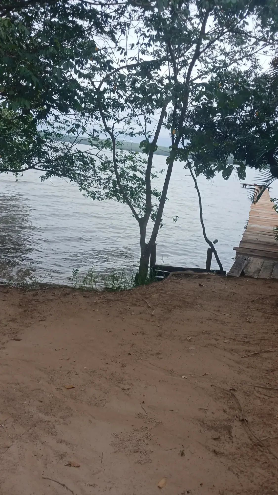 Imagem Chácara com 3 Quartos à Venda, 1650 metros em Ranchos do Marisias - Tres Lagoas, Tres Lagoas, Ms
