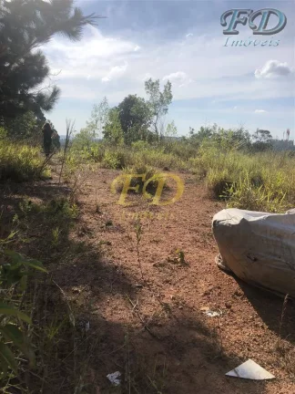 Imagem ÁREA INDUSTRIAL OU PARA LOTEAMENTO em Mairiporã
