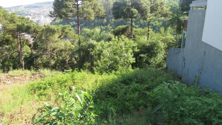 Imagem Terreno para Venda em Concórdia, Jardim