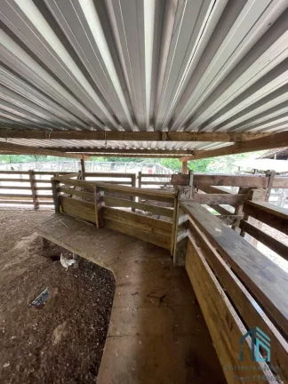 Imagem Fazenda a venda 82 alqueires em Campinacu -Goiania - GO