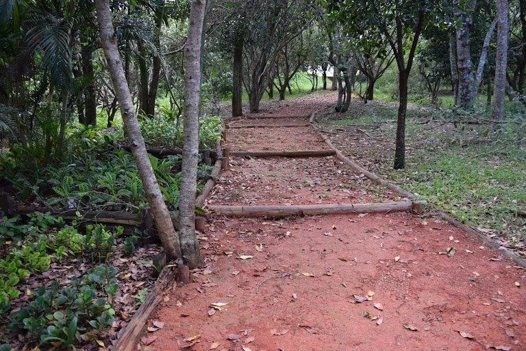 Imagem Lote - Rodovia Romildo Prado