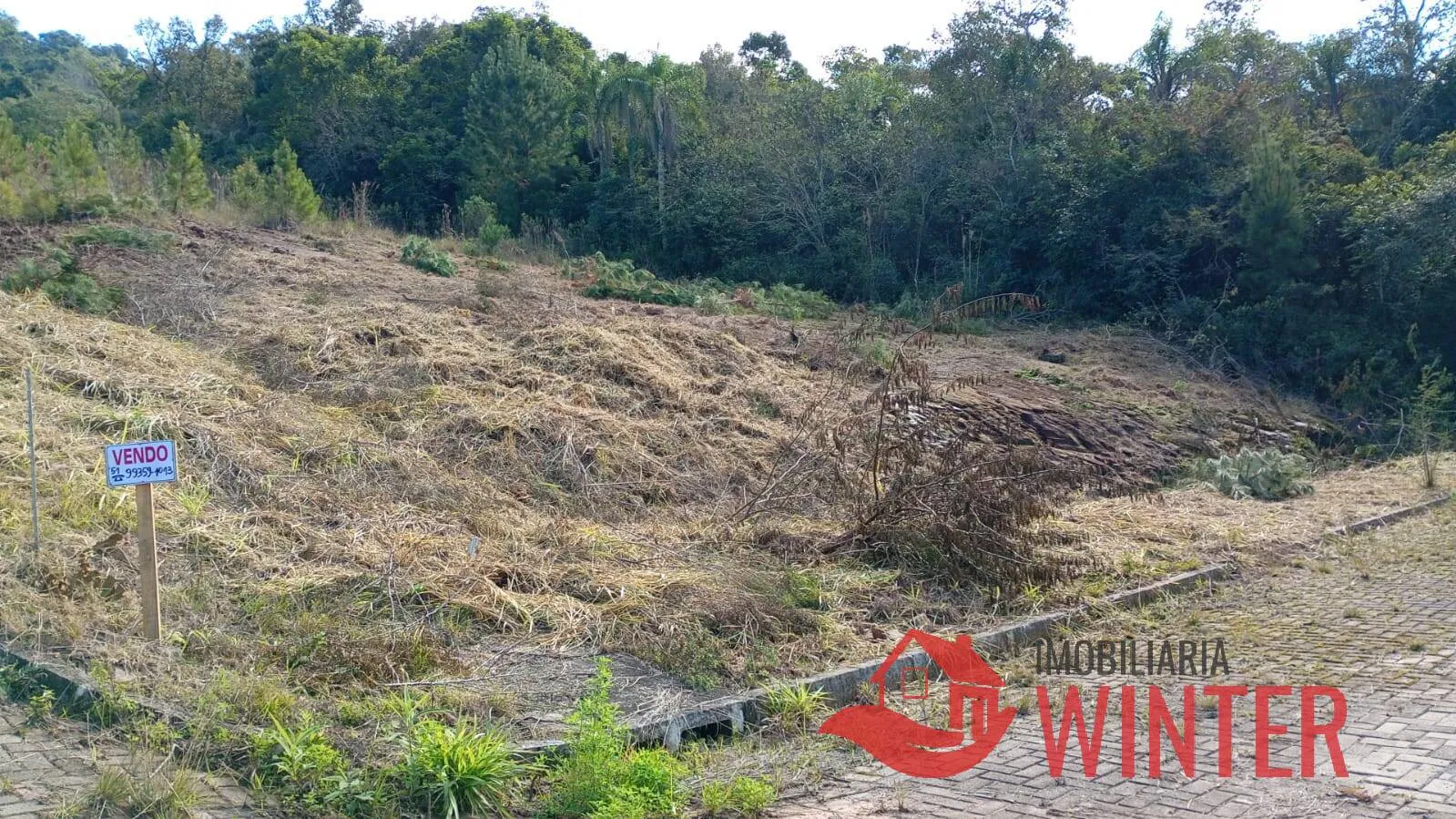 Imagem Terrenos a venda em Arroio do Ouro, Vale Real.