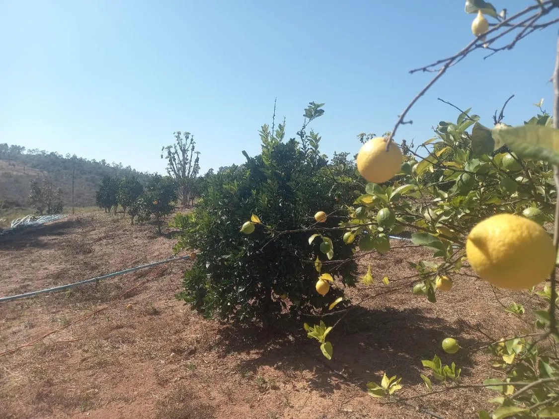 Imagem Excelente Oportunidade: Terreno de 30 Hectares em Passa tempo/MG