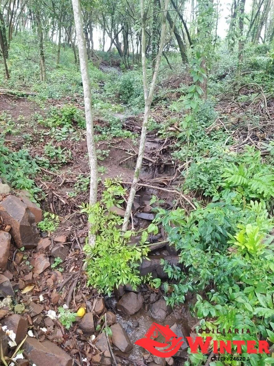 Imagem Terreno no Morro Tico Tico, Bom Princípio.