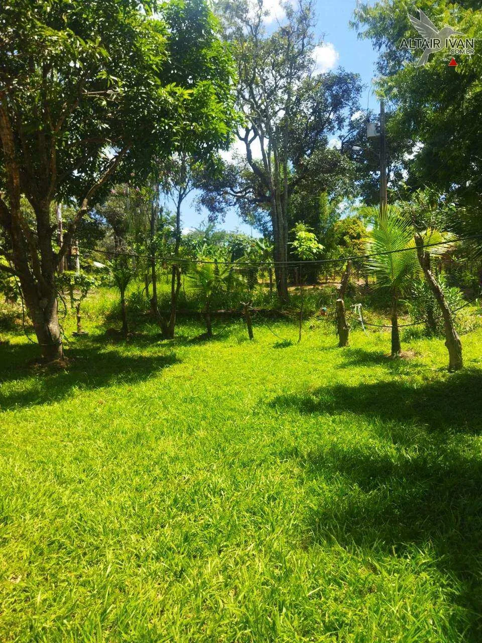 Imagem Mini Fazenda em Curvelo