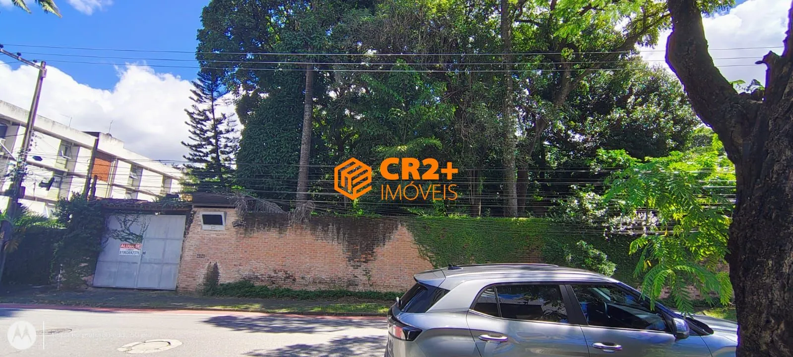 Imagem Alugo terreno medindo 1.600 m2 totais em Casa Amarela