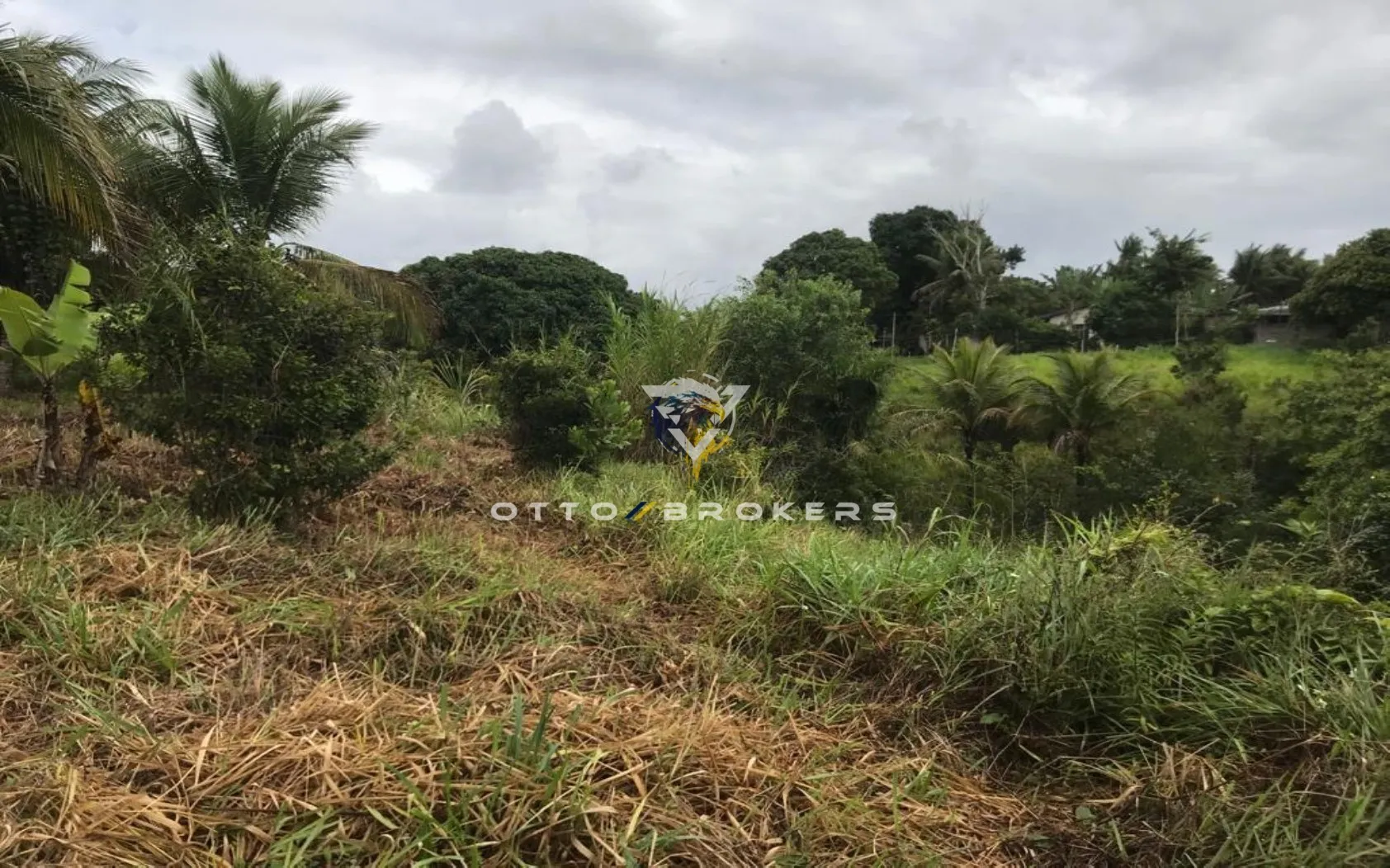 Imagem AREA RESIDENCIAL em SANTA CRUZ CABRÁLIA - BA, TÂNIA