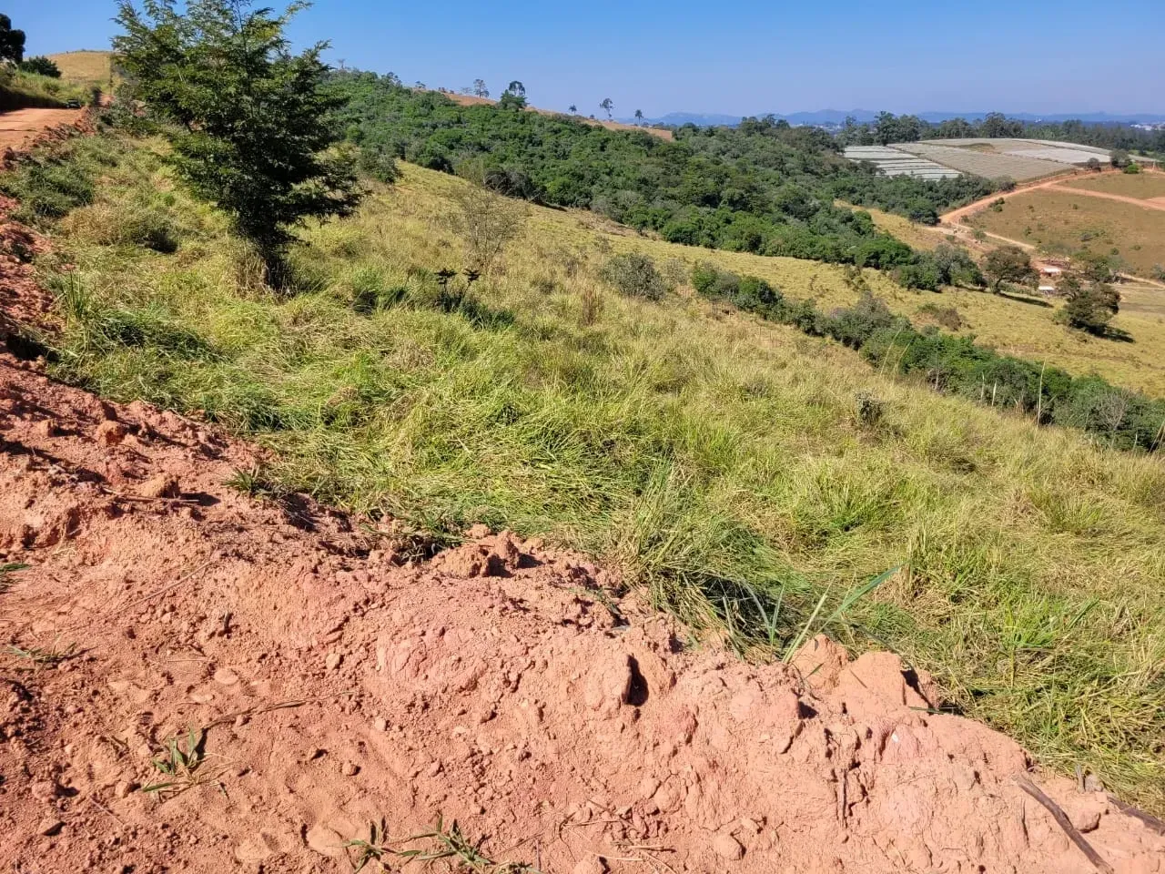 Imagem Terreno à Venda, 64.000 m² em Parque São Luiz - Jundiaí