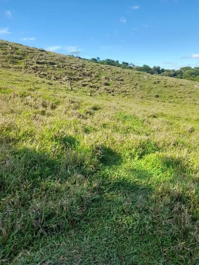 Imagem Vendo excelente sítio em Bonfim/MG ,com 9 hectares de área total (90.000 m²),