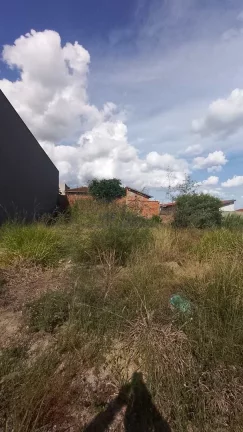 Imagem Terreno Padrão