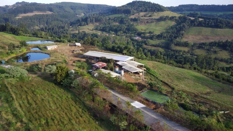 Imagem Área Agrícola para Venda em Concórdia, Interior