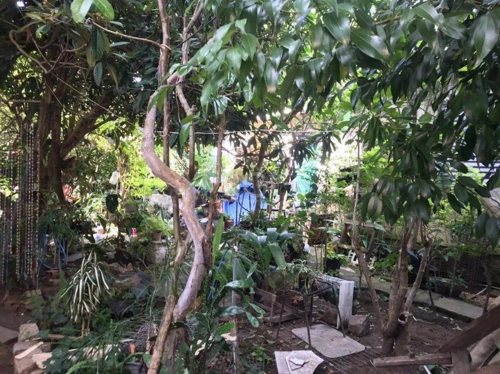 Imagem Terreno para Venda - 0m², 0 dormitórios, Tristeza