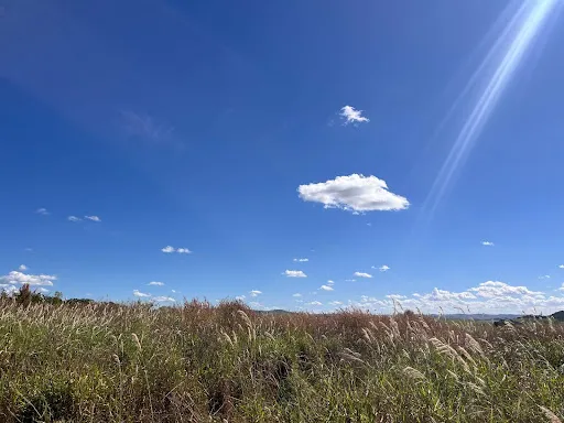 Imagem Terreno à venda, 1236 m² por R$ 40.000,00 - Área Rural de Patos de Minas - Patos de Minas/MG