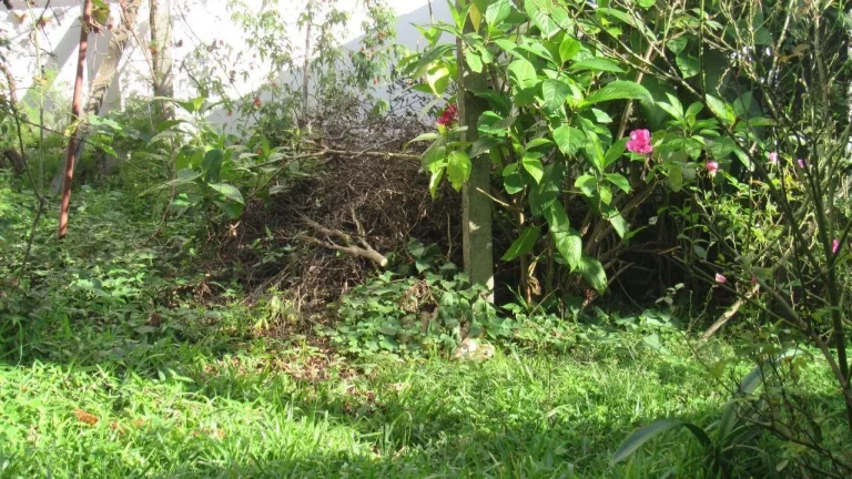 Imagem Terreno para Venda em Concórdia, Centro