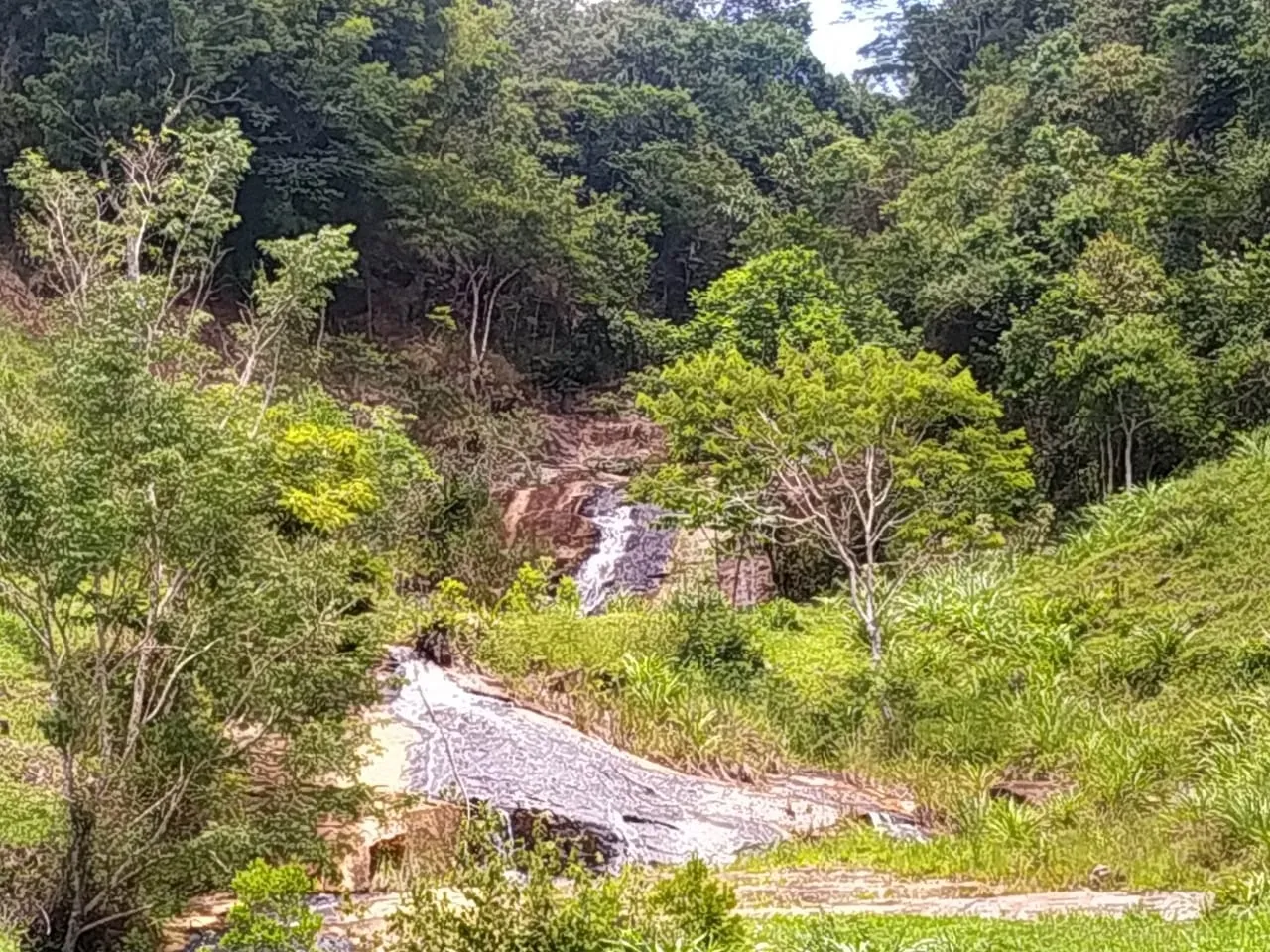 Imagem FAZENDA COMPLETA E ESTRUTURADA PARA PECUÁRIA - 105,5 ALQUEIRES