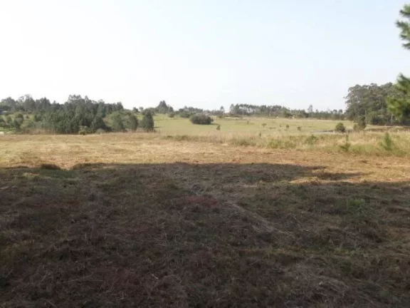 Imagem INVESTIDORES!!! Excelente área de 8 Hectares, frente RS040, Águas Claras