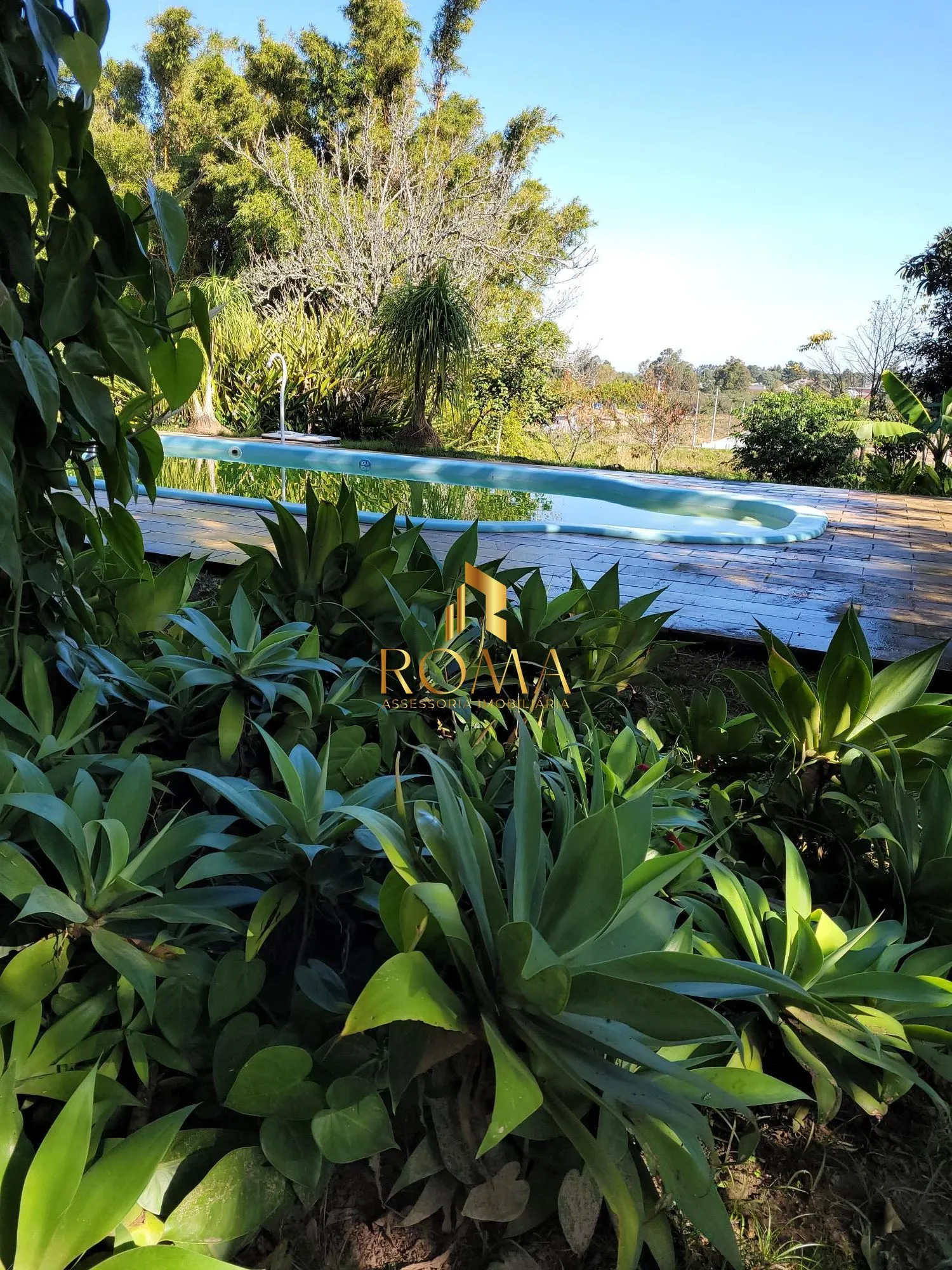 Imagem VILLA CERRITO - 4ha de pura natureza