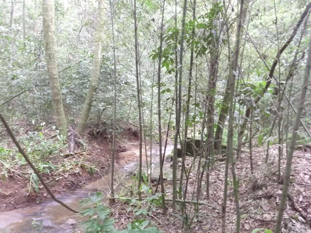 Imagem Área para Venda - 11,39ha, bairro Belém Velho