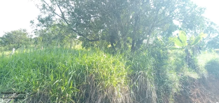 Imagem CHACARA RURAL em CALDAS - MG, CAMPININHA