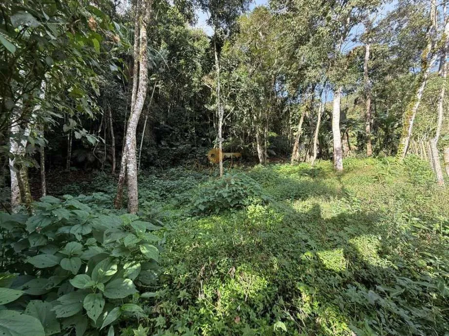 Imagem Terreno para Venda em Teresópolis / no bairro Albuquerque