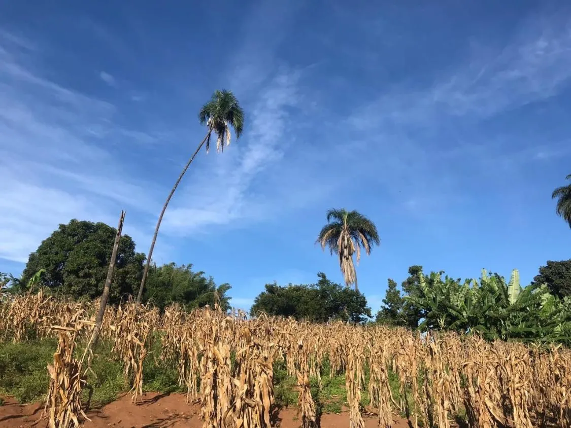 Imagem Excelente Terreno à Venda em Jaboticatubas/MG: 17 Hectares Próximo à Serra do Cipó