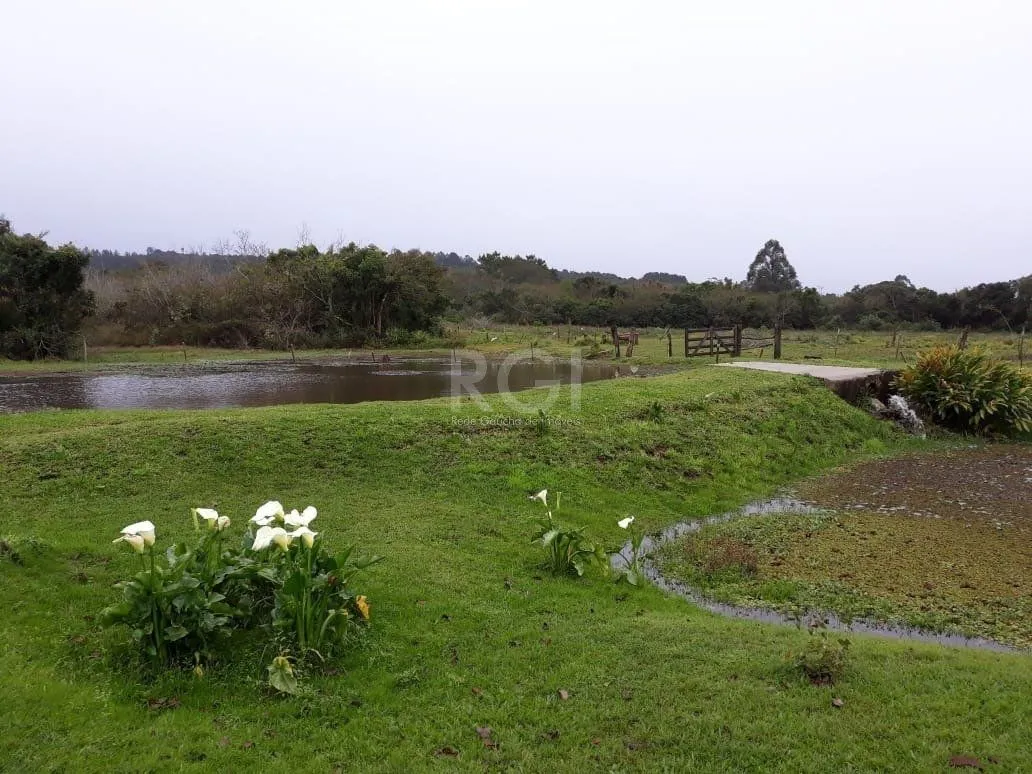 Imagem Sítio para Venda - 40685m², 0 dormitórios, Lami