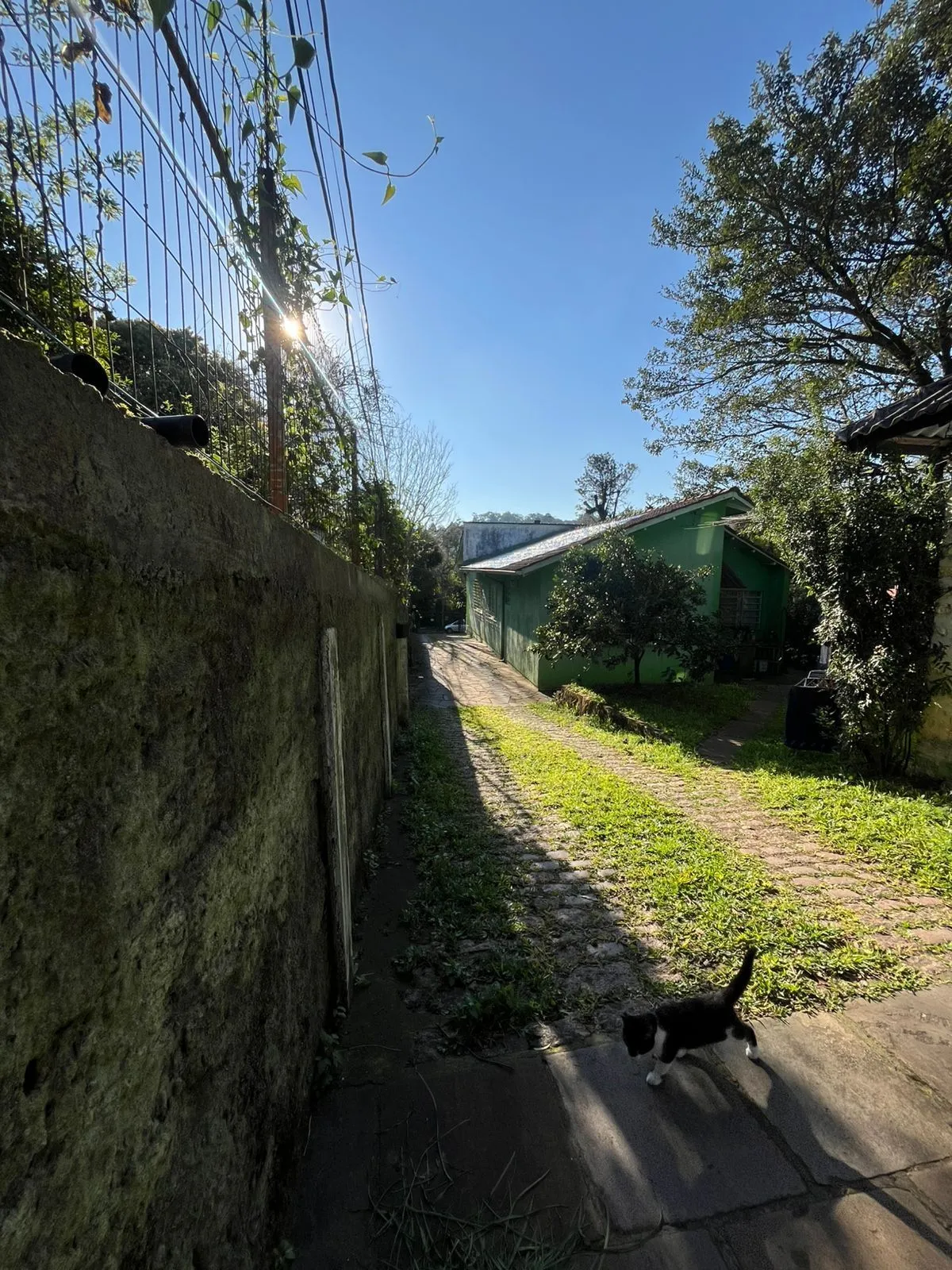 Imagem Terreno Amplo com 3 Casas - Vila Nova, Porto Alegre