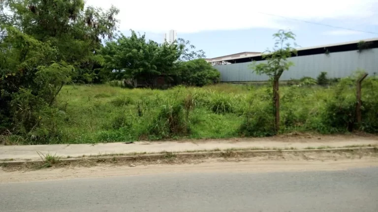 Foto do imóvel TERRENO