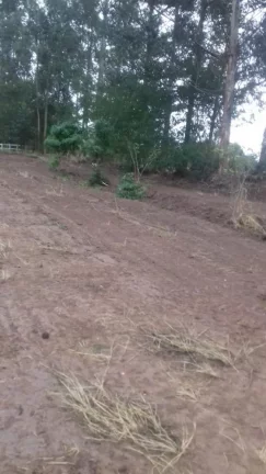 Imagem Terreno excelente a venda para Chácara com 8 mil m² no asfalto - em Quadra