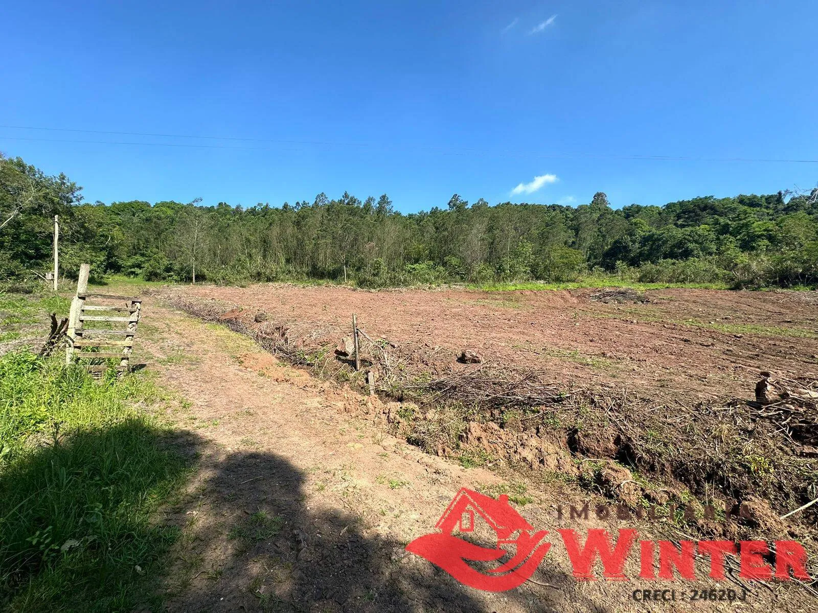 Imagem Área de terras com 10 hectares em Linha Nova