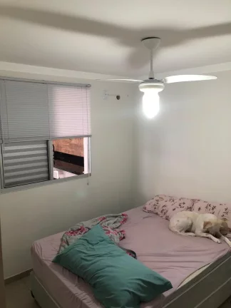 Imagem Lindo apartamento, sofisticado, com piscina e churrasqueira