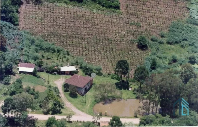 Imagem Terreno a venda, Área de 3.8 hectares em Fores da Cunha - Otávio Rocha RS
