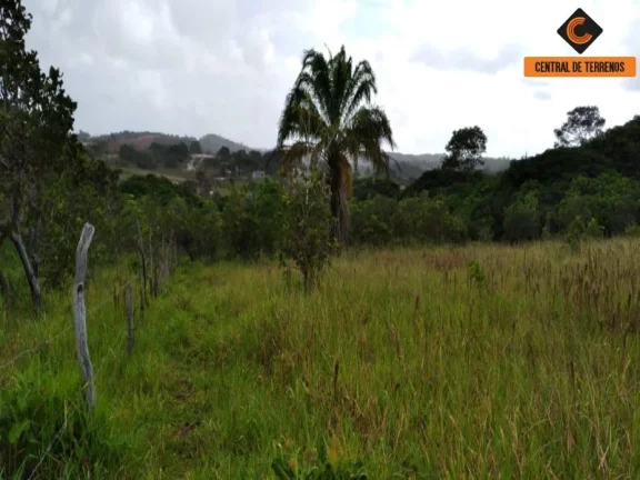 Imagem TERRENO NA VIA PARAFUSO