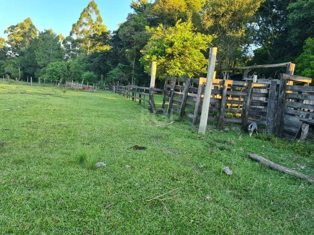 Imagem Sítio para Venda - 60000m², 3 dormitórios, Loteamento Rural Palermo