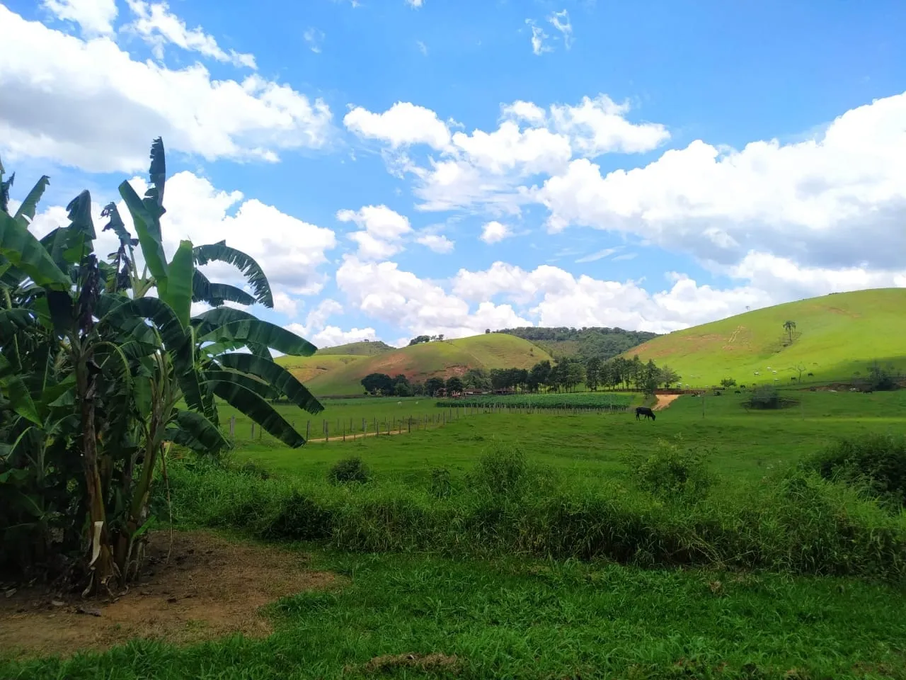 Imagem FAZENDA COMPLETA E ESTRUTURADA PARA PECUÁRIA - 105,5 ALQUEIRES
