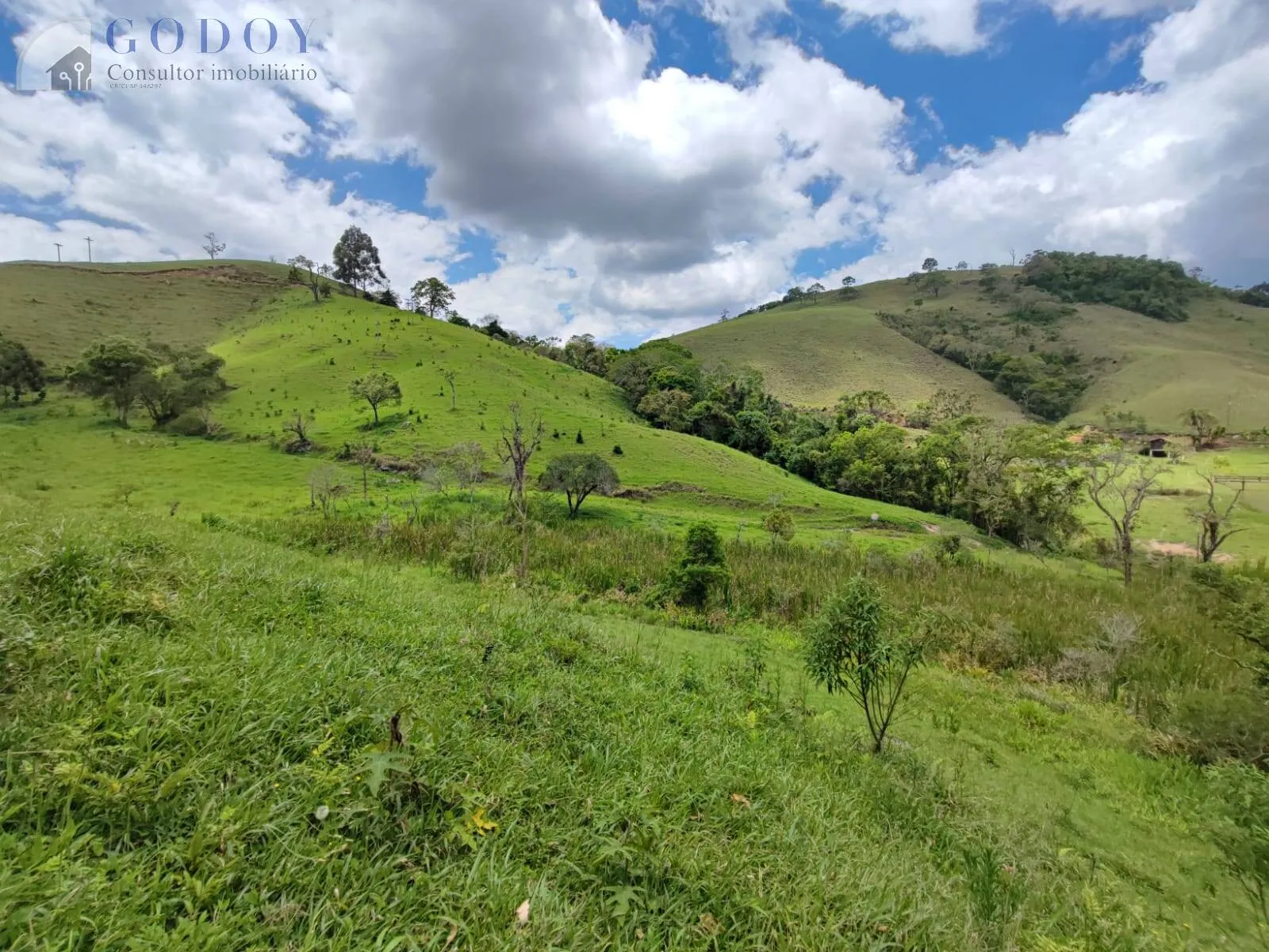 Imagem Área de 48.000 m² com excelente localização em Cunha/SP.