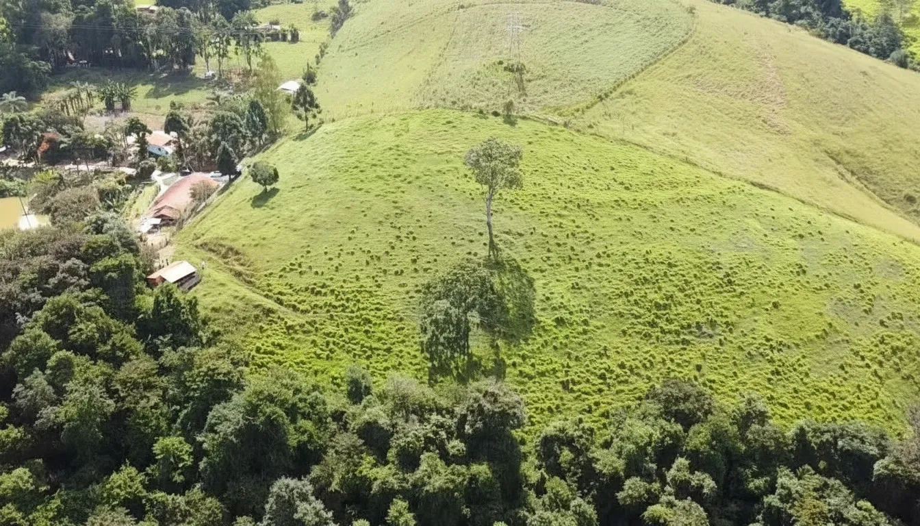 Imagem Sítio 4,17 ha à venda em Santana de Caldas, Caldas