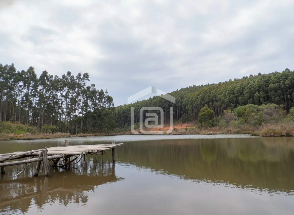 Imagem Fazenda à venda em Taquari, Caldas